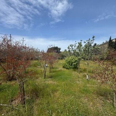 25 sot torpaq sahəsi, Mərdəkan qəs.