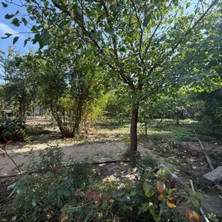 8 sot torpaq sahəsi, Mərdəkan qəs.