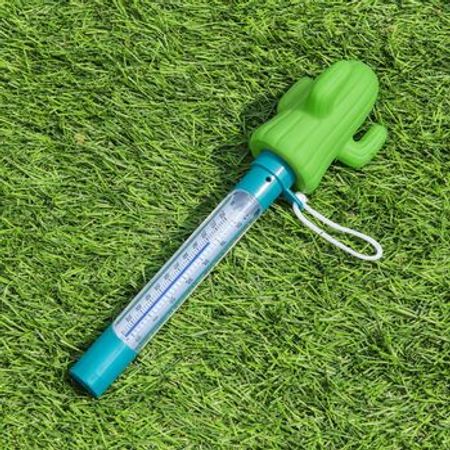 Hovuz suyu üçün termometr Bestway 58763