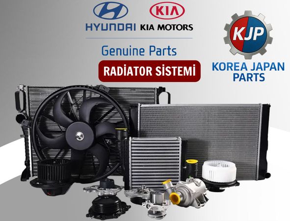 Hyundai, Kia radiator sistemi