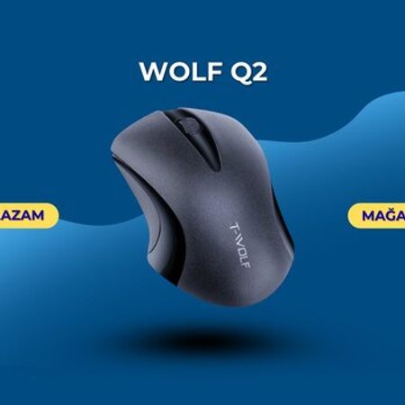 Oyun siçanı "Wolf Q2"