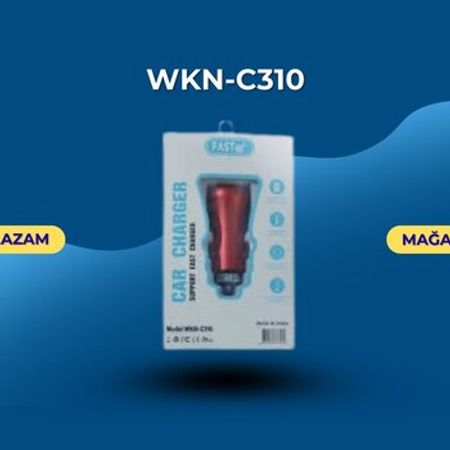 Avtomobil üçün şarj "Wkn-C310"