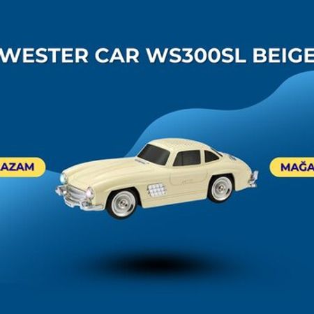 Wester Car Ws300sl beige – Audio və video – ucuztap.az