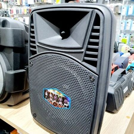 Karaoke bluetooth dinamik