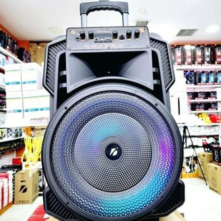 Bluetooth mikrofonlu karaoke dinamik