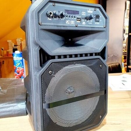 Mikrofonlu karaoke bluetooth dinamik