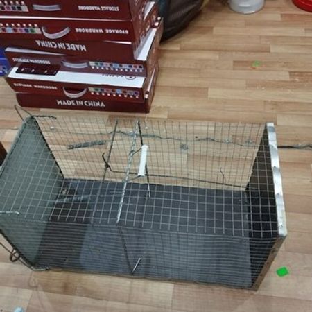Tülkü telesi – Bağ və bostan – ucuztap.az