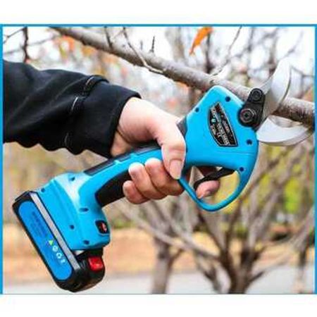 Elektrik ağacbudayan qayçı "Tmakota"