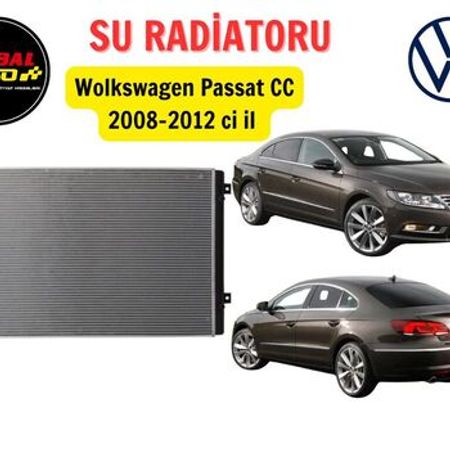 "Volkswagen Passat CC" su radiatoru