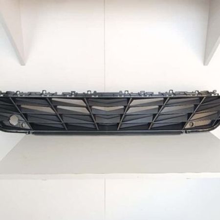 "Hyundai Elantra 2024" radiator barmaqlığı