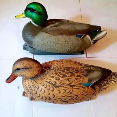 Ördək maketi