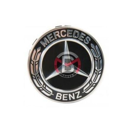 Disk qapağının emblemi