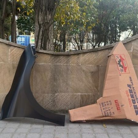 "Hyundai Elantra 2019" qanadları