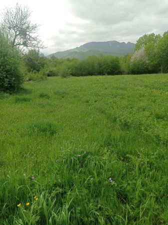 14 sot torpaq sahəsi, Quba Xanəgah kəndi