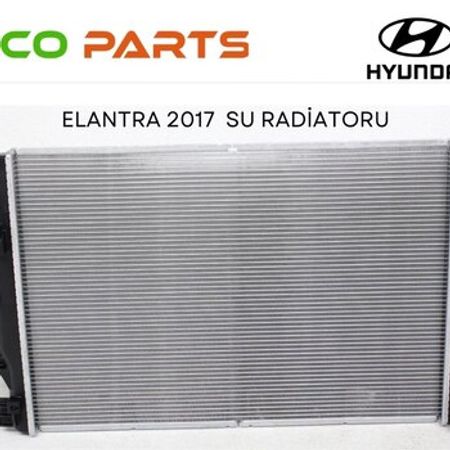 "Hyundai Elantra 2016-2018" su radiatoru