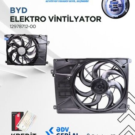 BYD elektropəri