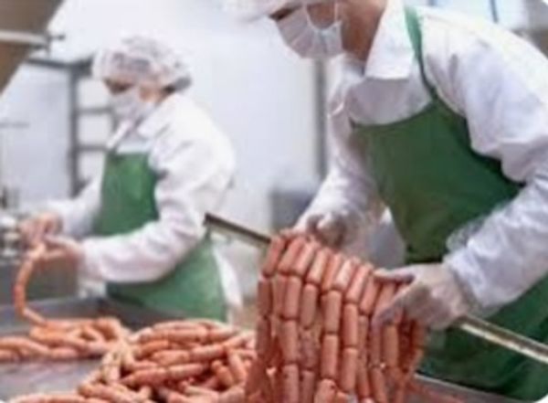 Obyekt, Xırdalan Bölgəsi Kolbasa İstehsal Sahəsi Hazır Biznes, 300 m²