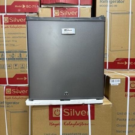 Mini soyuducu Silver bc 50 – Soyuducular – ucuztap.az