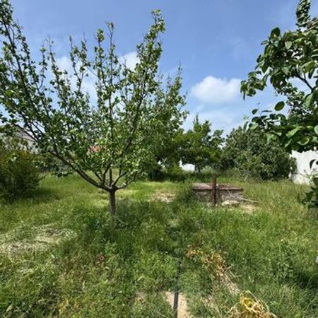 23 sot torpaq sahəsi, Mərdəkan qəs.