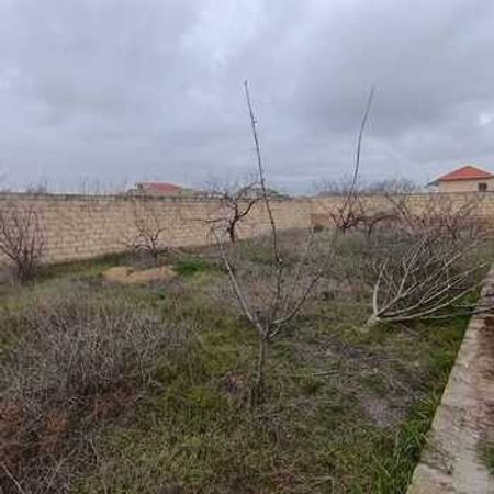 3 sot torpaq sahəsi, Masazır qəs.