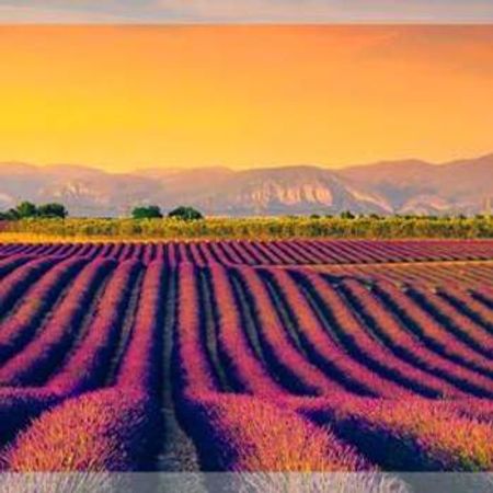 Ağ monitor "MSI Modern MD272XPW 27"