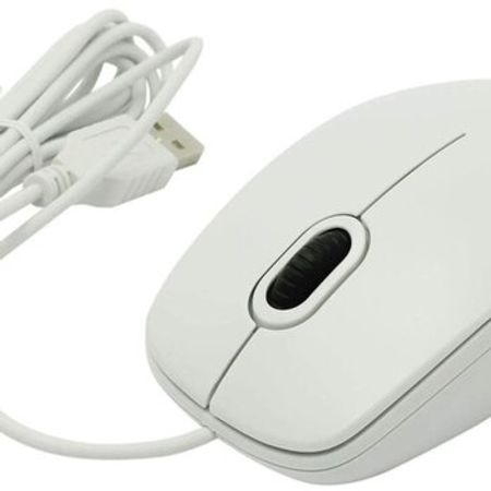 Kompüter siçanı Logitech B100