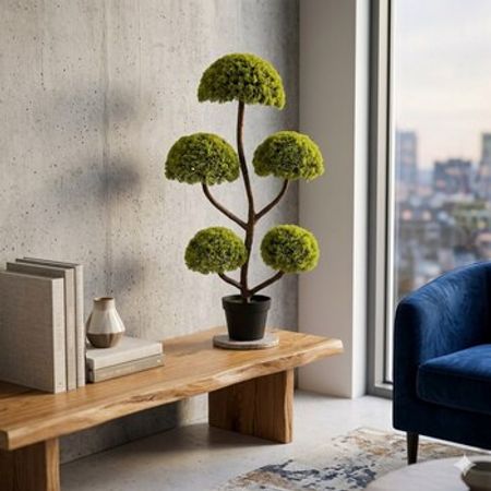 Dekorativ Bonsay Ağacı 5-li, 120 sm