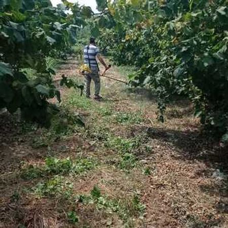 550 sot torpaq sahəsi, Xaçmaz r.