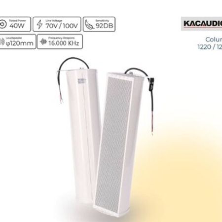 Sütun dinamiki "Kacaudio 20w/40w KaQi Audio"