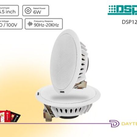 DSPPA DSP124 6.5" Dairəvi Tavan Dinamik (Transformer ilə)