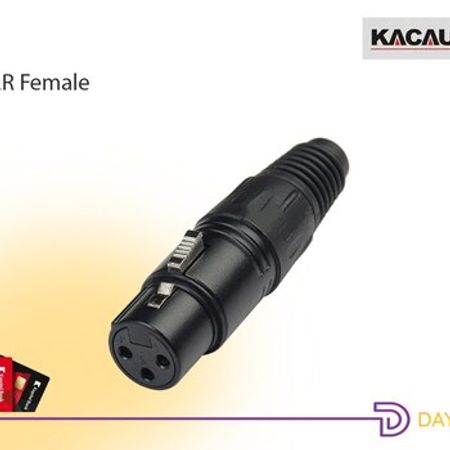 Kabel başlığı XLR Female – Kompüter aksesuarları – ucuztap.az