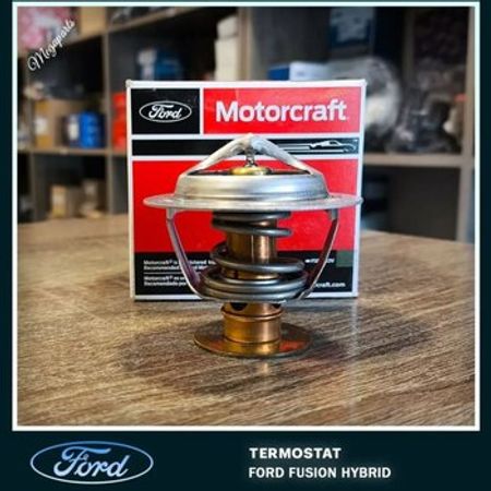 "Ford Fusion hybrid" termostatı