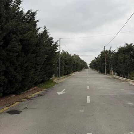 12 sot torpaq sahəsi, Buzovna qəs.