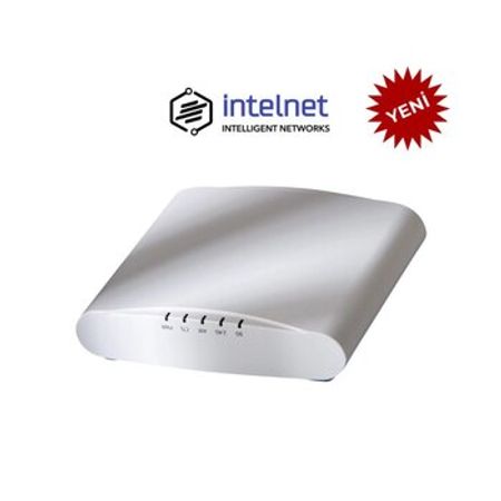 Ruckus access point "ZoneFlex R510"