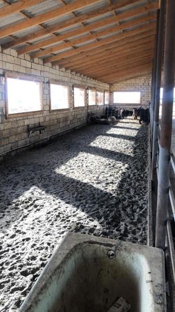 15000 sot torpaq sahəsi, imişli ərəzi