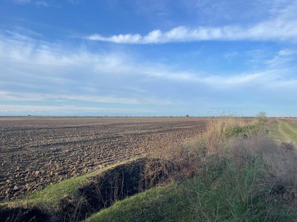 15000 sot torpaq sahəsi, imişli ərəzi