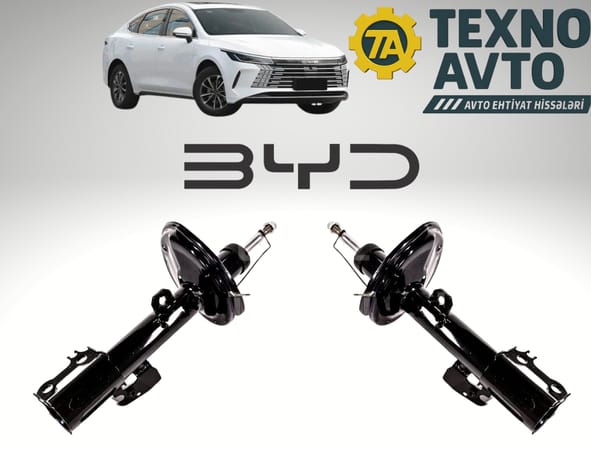 BYD Destroyer 05 və BYD Qin Plus - Ön Amartizator