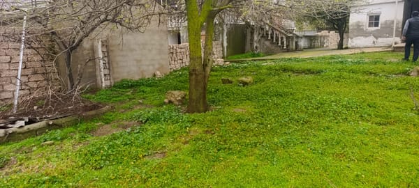 25 sot torpaq sahəsi, Maştağa