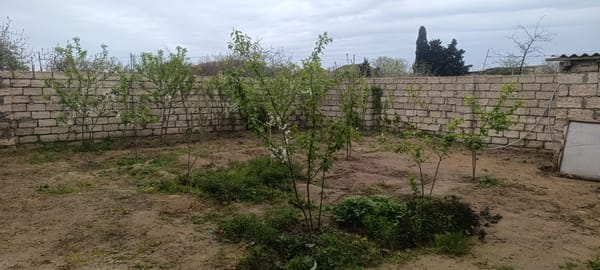 Həyət evi, Maştağa, 60 m²