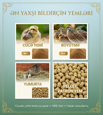 Bildirçin Üyüdülmüş №1 Yem