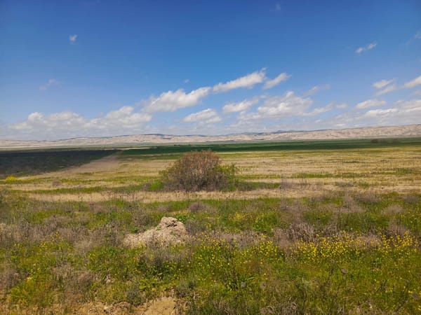 25000 sot torpaq sahəsi, Hacıqabul r-nu