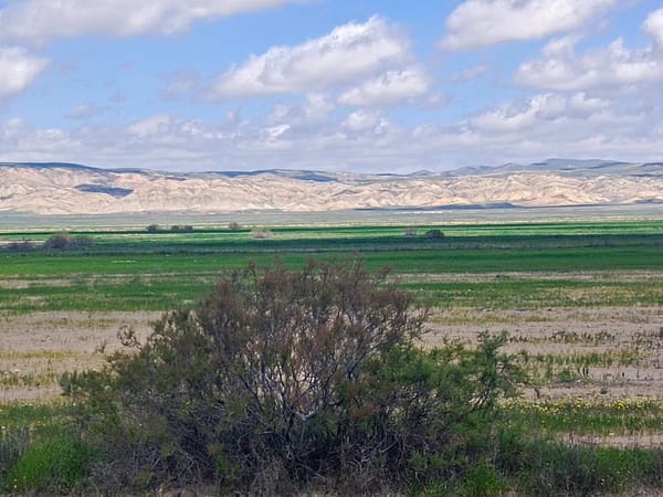 25000 sot torpaq sahəsi, Hacıqabul r-nu