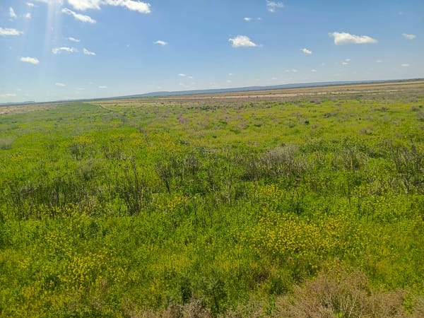 25000 Sot Torpaq Sahəsi, Hacıqabul