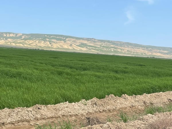 25000 Sot Torpaq Sahəsi, Hacıqabul R-nu