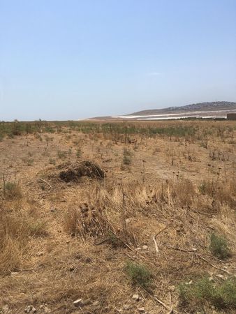 56 sot torpaq sahəsi, NOVXANI qəs