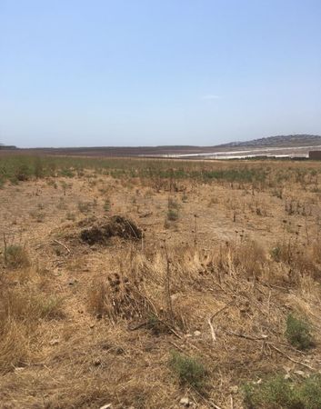 56 sot torpaq sahəsi, NOVXANI qəs