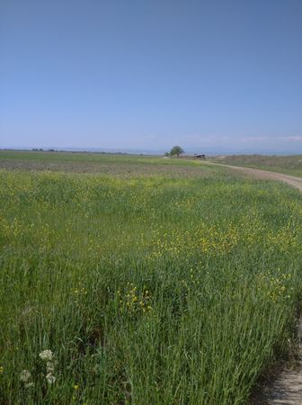 3000 sot torpaq sahəsi, Giləzi ərazisi