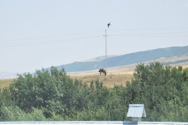 3000 sot torpaq sahəsi, Giləzi ərazisi