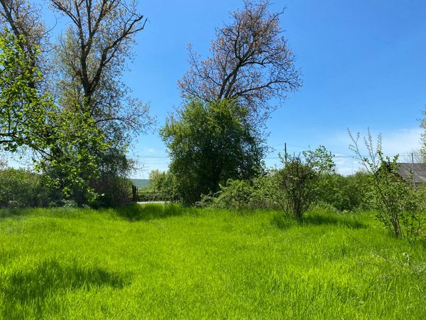 30 sot torpaq sahəsi, Böyük pirəli