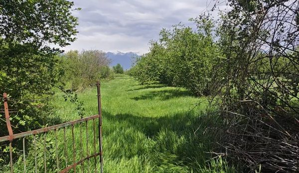 30 sot torpaq sahəsi, Böyük pirəli